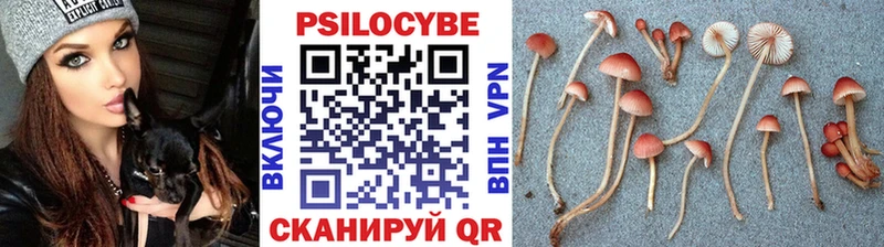 дарк нет какой сайт Владимир Псилоцибиновые грибы ЛСД