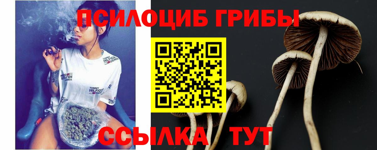 Псилоцибиновые грибы мицелий Владимир